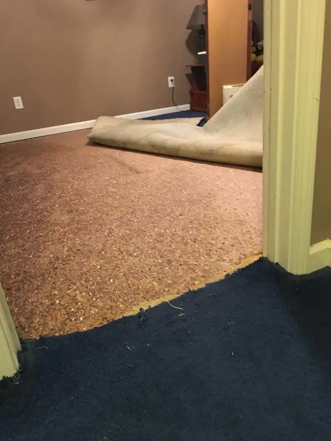 Carpet pad removal revealing water damage during Drying & Dehumidification in Genesee