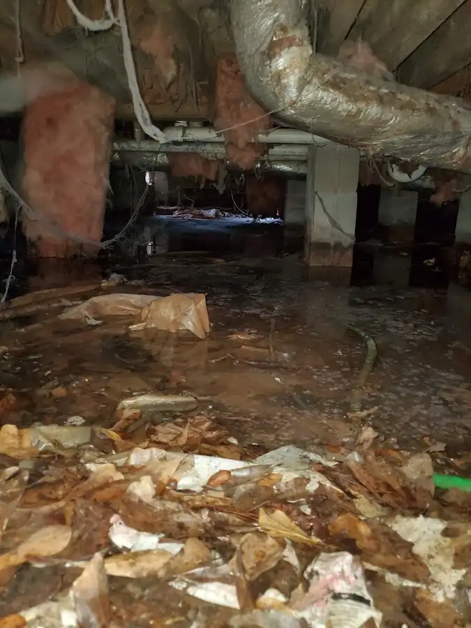 Crawl space flood assessment for Leak Detection & Repair in Genesee