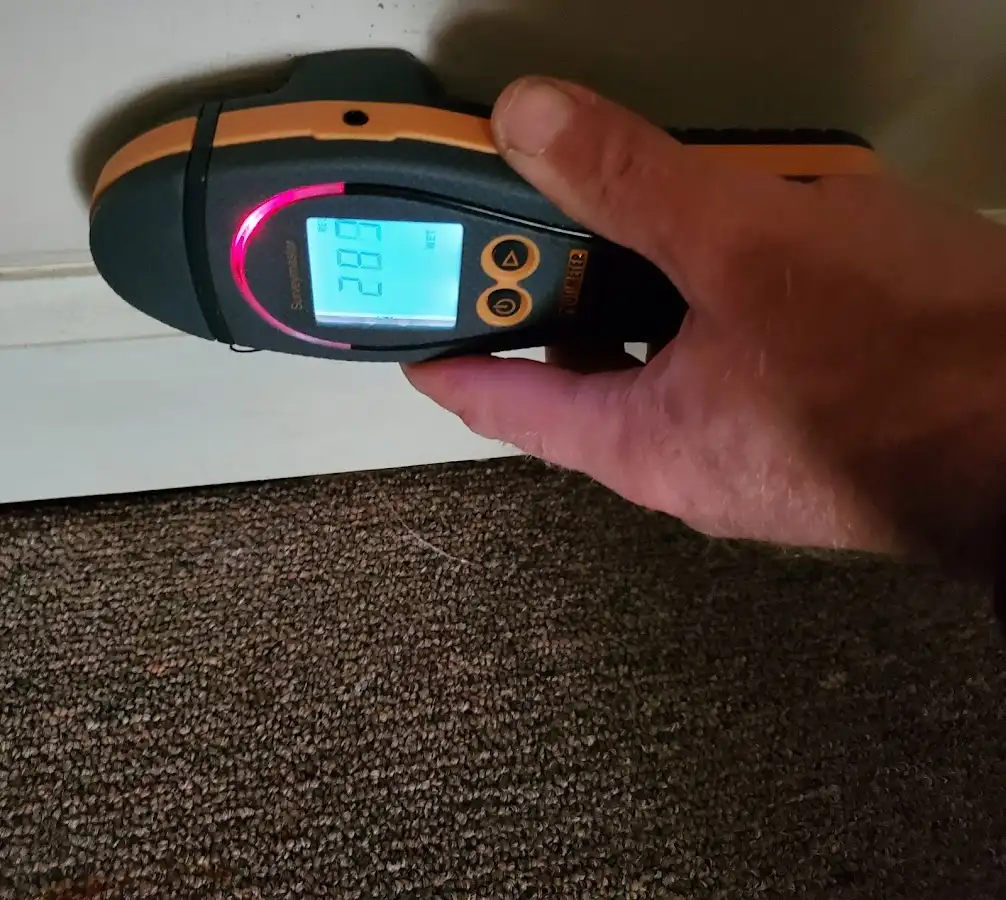 Moisture detection at baseboard during Burst Pipe Cleanup in Genesee